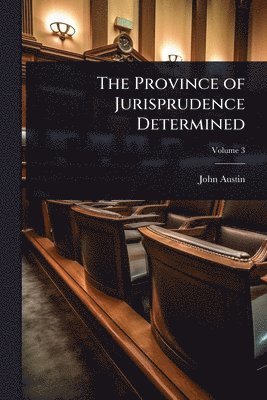 bokomslag Province of Jurisprudence Determined