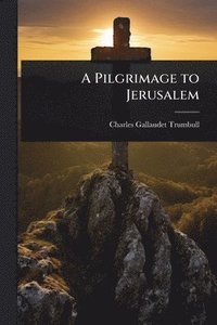 bokomslag Pilgrimage to Jerusalem