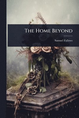bokomslag Home Beyond