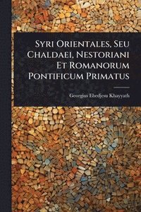 bokomslag Syri Orientales, Seu Chaldaei, Nestoriani Et Romanorum Pontificum Primatus