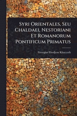 bokomslag Syri Orientales, Seu Chaldaei, Nestoriani Et Romanorum Pontificum Primatus