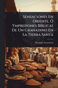 bokomslag Sensaciones En Oriente, Ã" Ympresiones BÃ-blicas De Un Granadino En La Tierra Santa