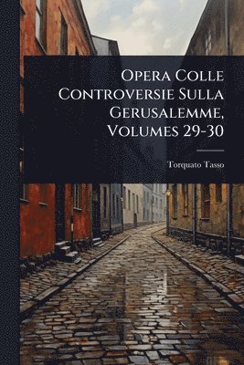 bokomslag Opera Colle Controversie Sulla Gerusalemme, Volumes 29-30