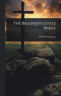 bokomslag Beloved's Little While