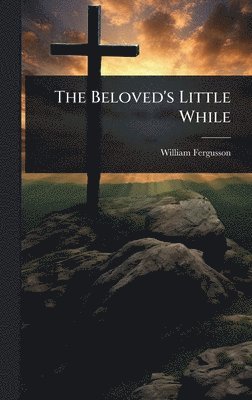 bokomslag Beloved's Little While