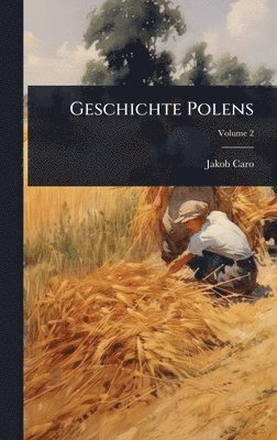 bokomslag Geschichte Polens