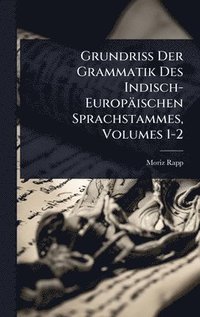 bokomslag Grundriss Der Grammatik Des Indisch-Europäischen Sprachstammes, Volumes 1-2