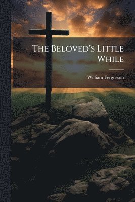 bokomslag Beloved's Little While