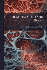 bokomslag Spinal Cord and Brain