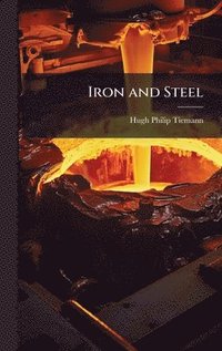 bokomslag Iron and Steel