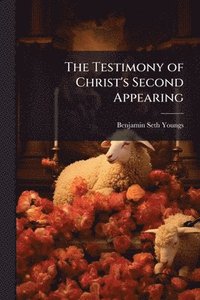bokomslag Testimony of Christ's Second Appearing