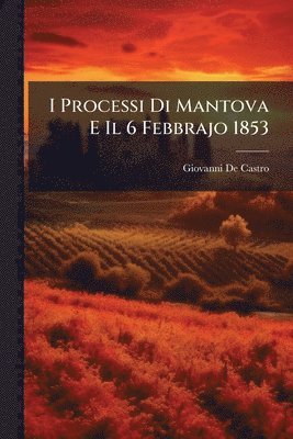 bokomslag I Processi Di Mantova E Il 6 Febbrajo 1853