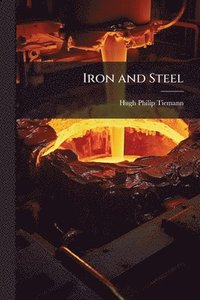 bokomslag Iron and Steel