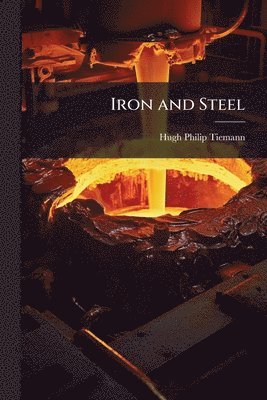 bokomslag Iron and Steel