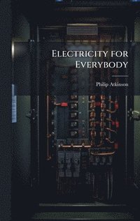 bokomslag Electricity for Everybody