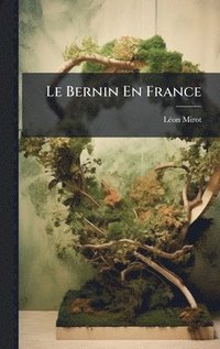 bokomslag Bernin En France