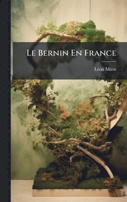 bokomslag Bernin En France