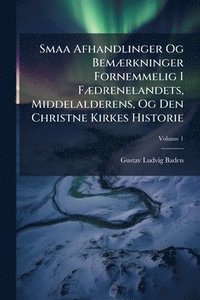 bokomslag Smaa Afhandlinger Og BemÃ]rkninger Fornemmelig I FÃ]drenelandets, Middelalderens, Og Den Christne Kirkes Historie