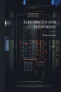 bokomslag Electricity for Everybody