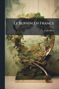 bokomslag Bernin En France