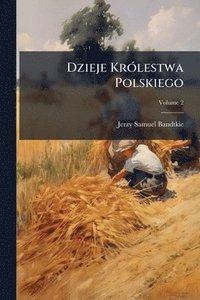 bokomslag Dzieje KrÃ3lestwa Polskiego