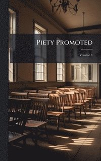 bokomslag Piety Promoted