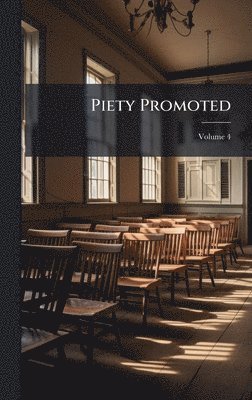 bokomslag Piety Promoted