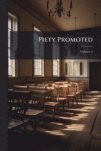 bokomslag Piety Promoted
