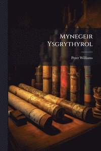 bokomslag Mynegeir Ysgrythyrol