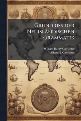 bokomslag Grundriss der Neuisländischen Grammatik