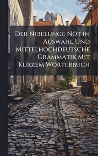bokomslag Nibelunge NÃ¿t in Auswahl Und Mittelhochdeutsche Grammatik Mit Kurzem Wörterbuch