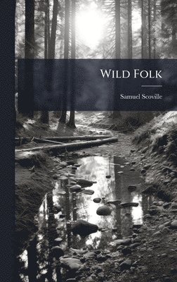 bokomslag Wild Folk