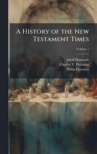 bokomslag History of the New Testament Times