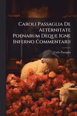 bokomslag Caroli Passaglia De Aeternitate Poenarum Deque Igne Inferno Commentarii