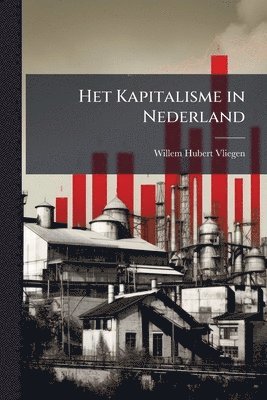 bokomslag Het Kapitalisme in Nederland
