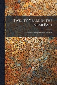 bokomslag Twenty Years in the Near East
