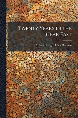 bokomslag Twenty Years in the Near East