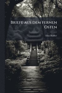 bokomslag Briefe aus dem fernen Osten