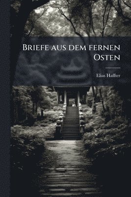 bokomslag Briefe aus dem fernen Osten