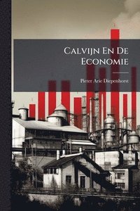 bokomslag Calvijn En De Economie