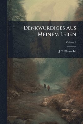 J C Bluntschli - DenkwÃ1/4rdiges Aus Meinem Leben, Häftad