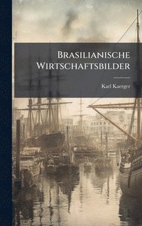 bokomslag Brasilianische Wirtschaftsbilder