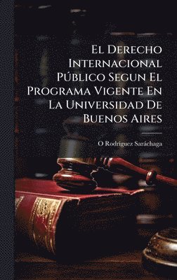 bokomslag Derecho Internacional PÃ°blico Segun El Programa Vigente En La Universidad De Buenos Aires