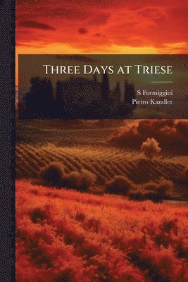 bokomslag Three Days at Triese