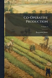 bokomslag Co-Operative Production