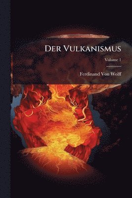 bokomslag Vulkanismus