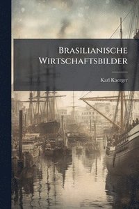bokomslag Brasilianische Wirtschaftsbilder
