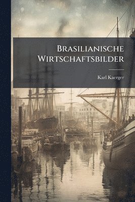 bokomslag Brasilianische Wirtschaftsbilder