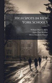 bokomslag High Spots in New York Schools
