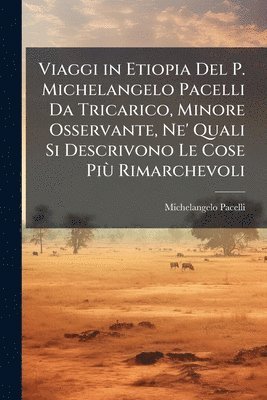 bokomslag Viaggi in Etiopia Del P. Michelangelo Pacelli Da Tricarico, Minore Osservante, Ne' Quali Si Descrivono Le Cose PiÃ¹ Rimarchevoli